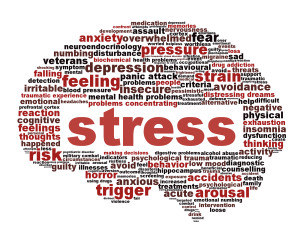 Dentists' Stress Reduction Series with Jen Butler: Part III
